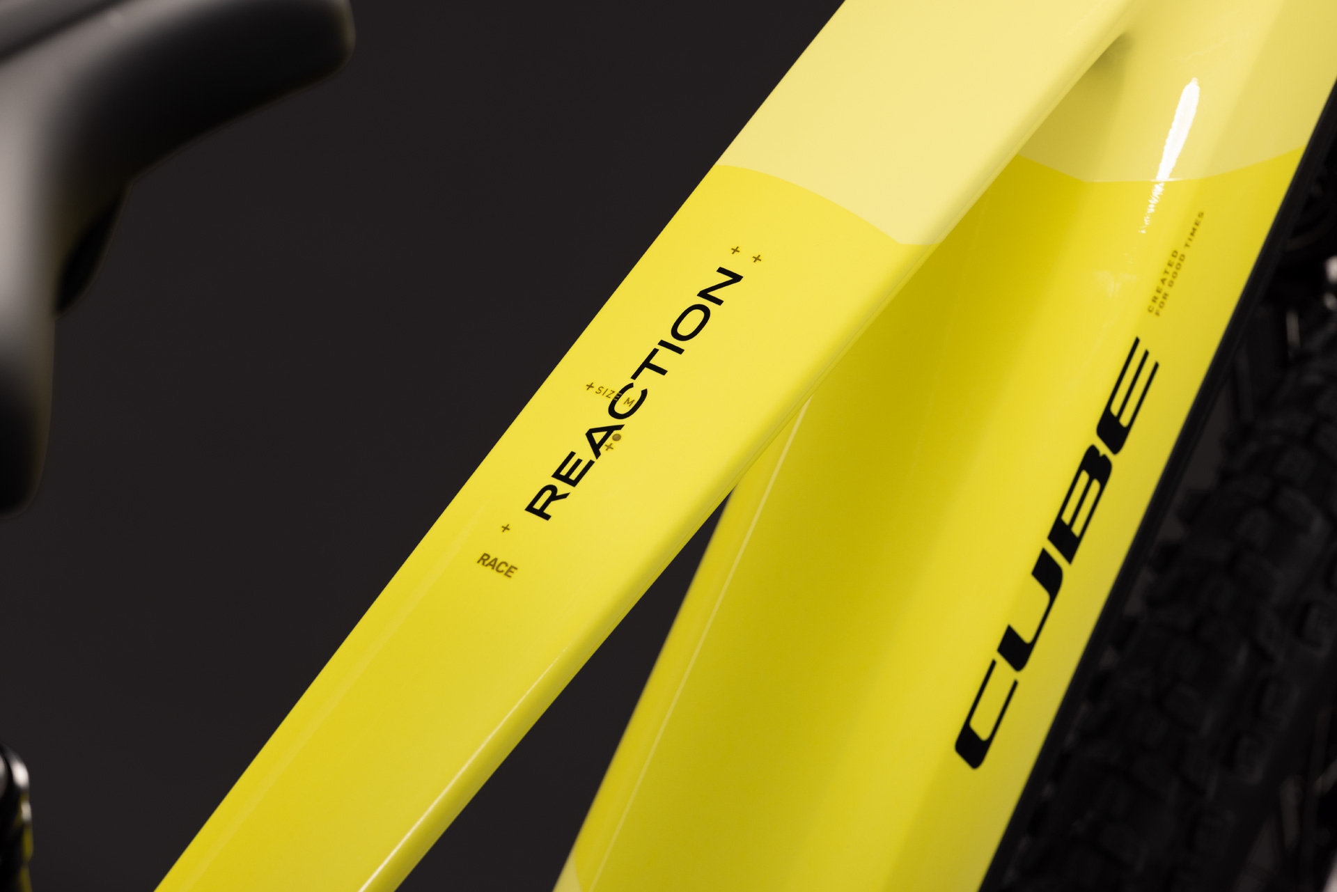 Cube Reaction Hybrid Race 800 / bananasplit´n´black