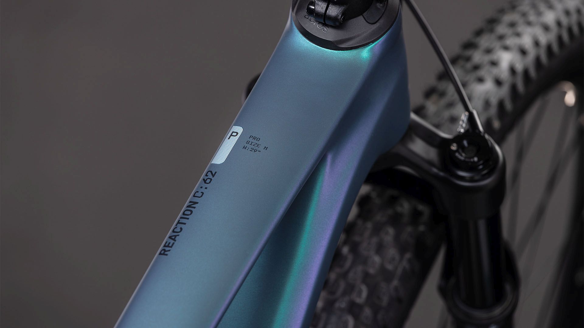 Reaction C:62 Pro / polarlight´n´black
