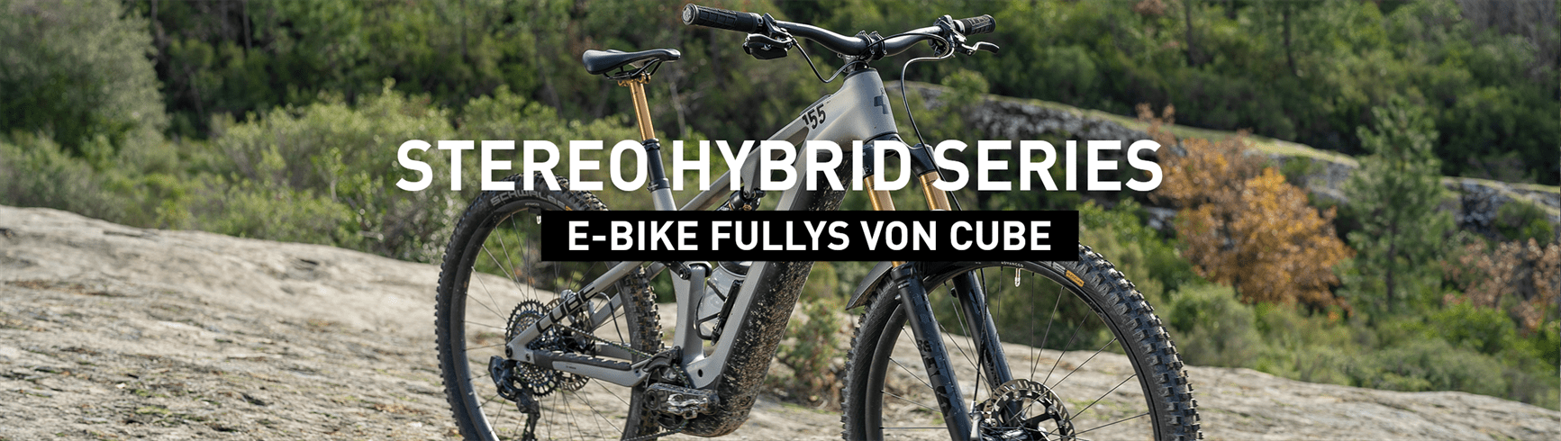 Stereo Hybrid Series